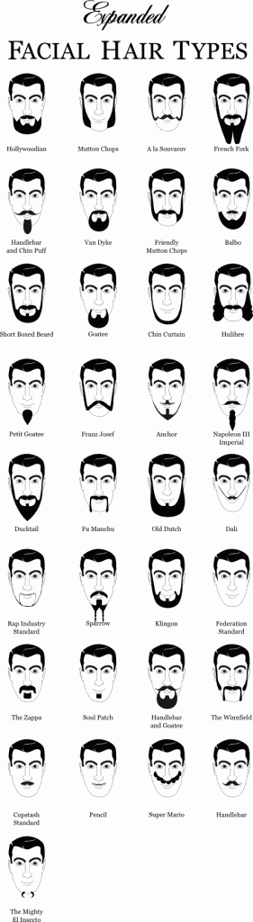 Wondermark Archive Six Facial Hair Taxonomies